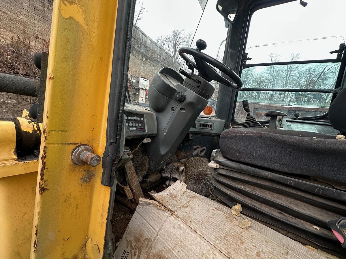 Used 2002 KOMATSU WA250-3