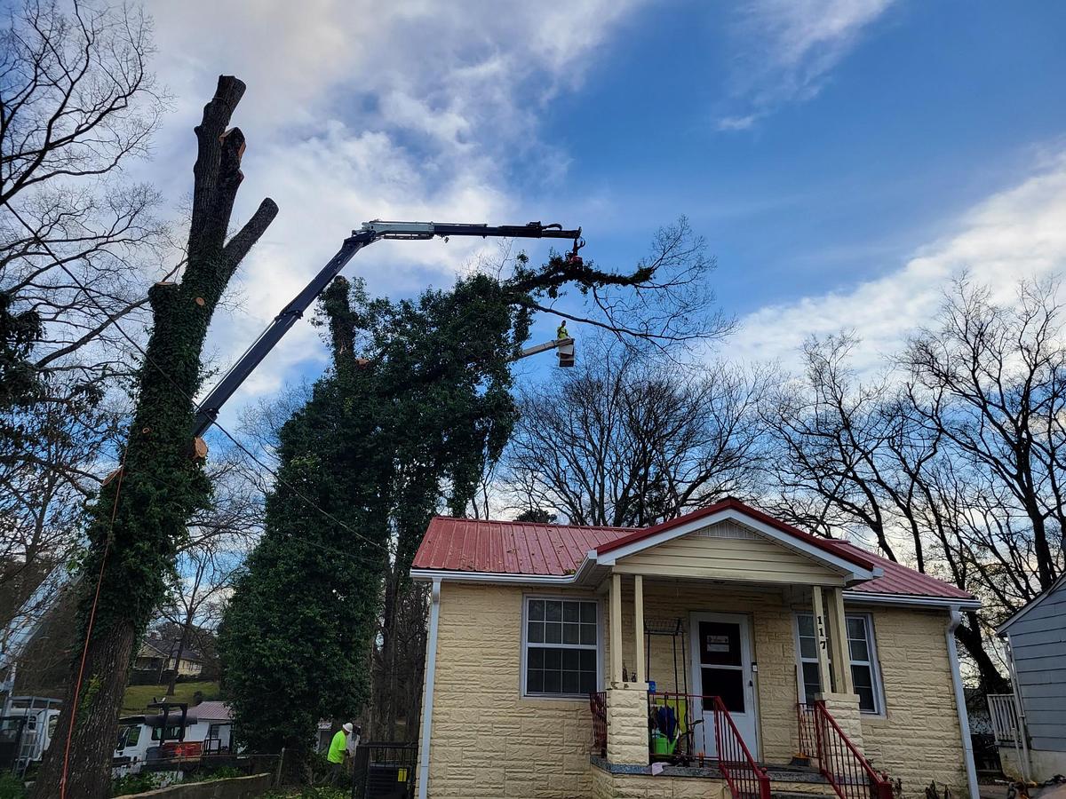 Used 2015 CORMACH 50000WB95