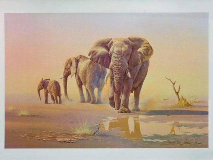 Used 3/28/2012, Blackbox Collotype