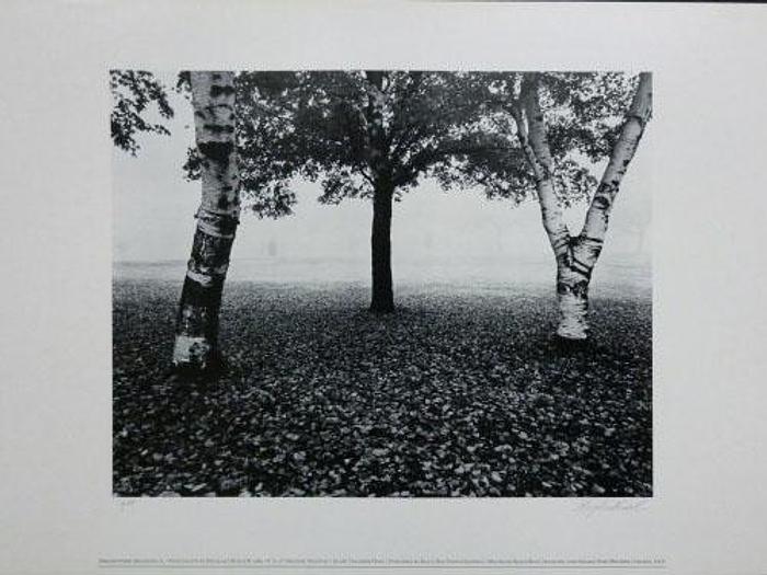 Used 3/28/2012, Blackbox Collotype