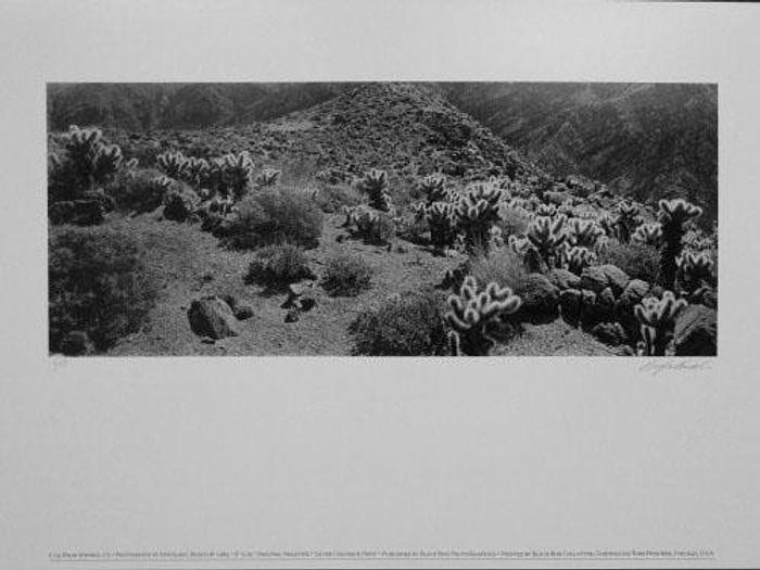 Used 3/28/2012, Blackbox Collotype