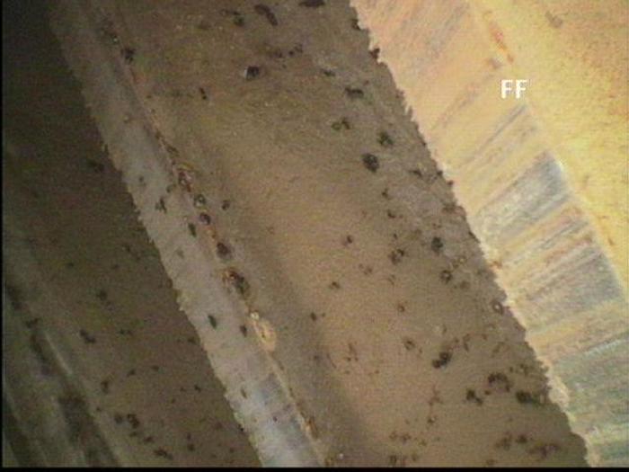 Used 2006 NASH CL6002 #19385