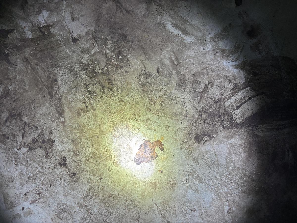 Used 8' x 30' Horizontal 75 PSI Sivalls Free Water Knock Out