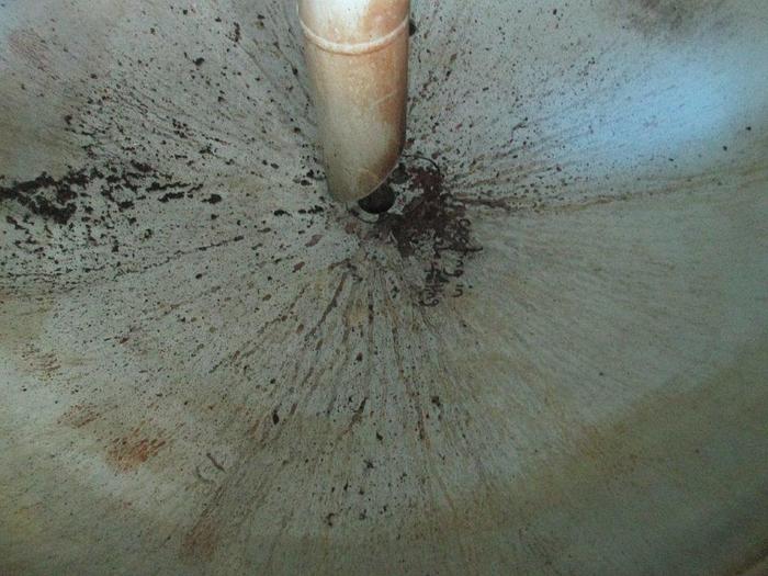 Used 48" x 10' 1440 PSI Sour Vertical Separator