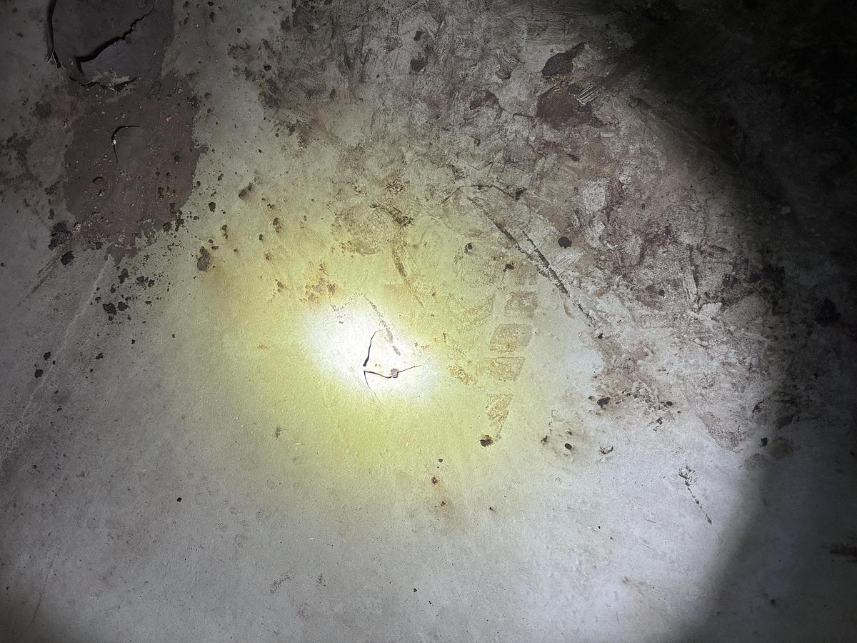 Used 8' x 30' Horizontal 75 PSI Sivalls Free Water Knock Out