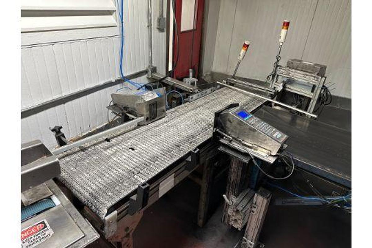 Used Case Conveyor (No Coders), 18" W x 72" OAL