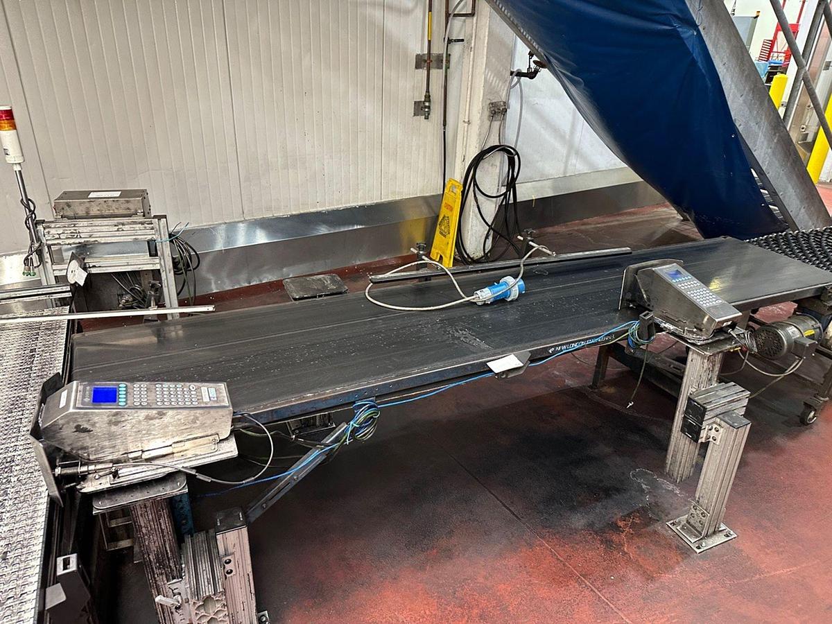 Used Case Conveyor, 22" W x 10' OAL
