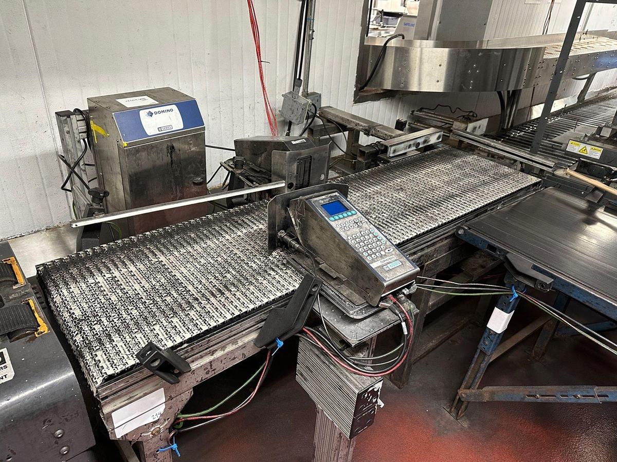 Used Case Conveyor, 18" x 72" OAL
