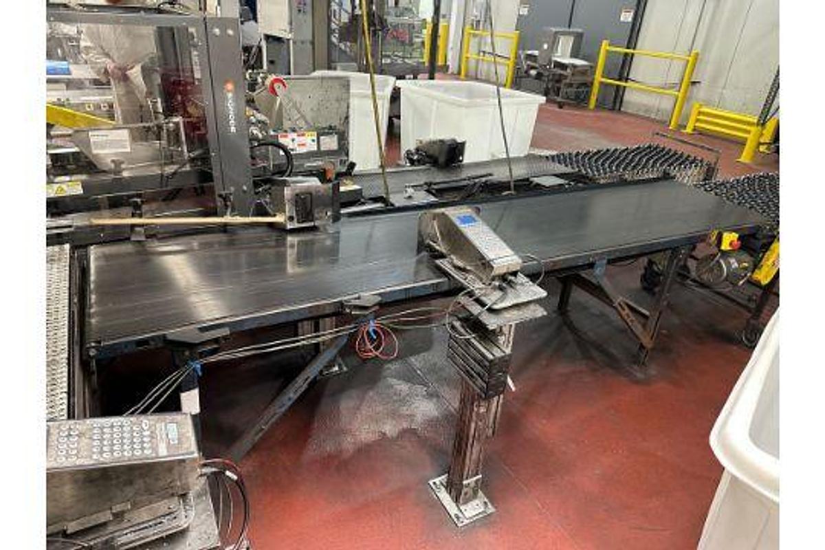 Used Case Conveyor 24" x 10' OAL