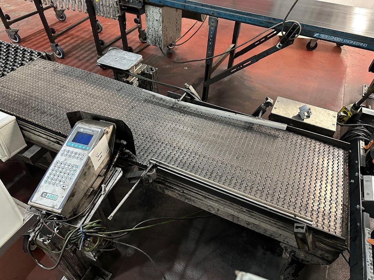Used Case Conveyor (No Coder), 18" W x 73" OAL