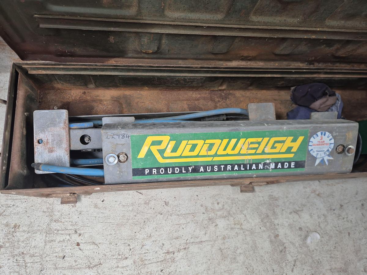 Used Ruddweigh Cattle