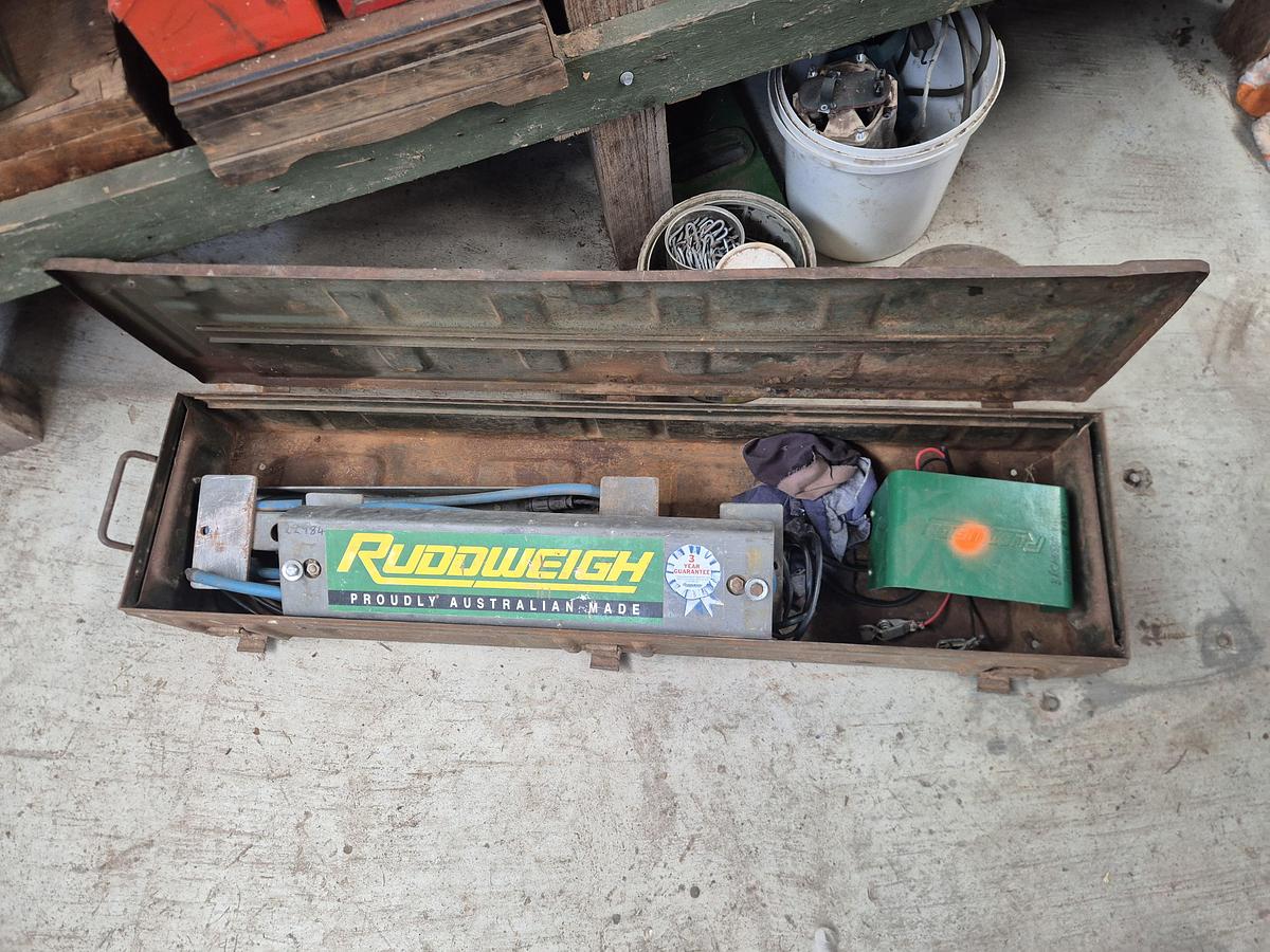 Used Ruddweigh Cattle