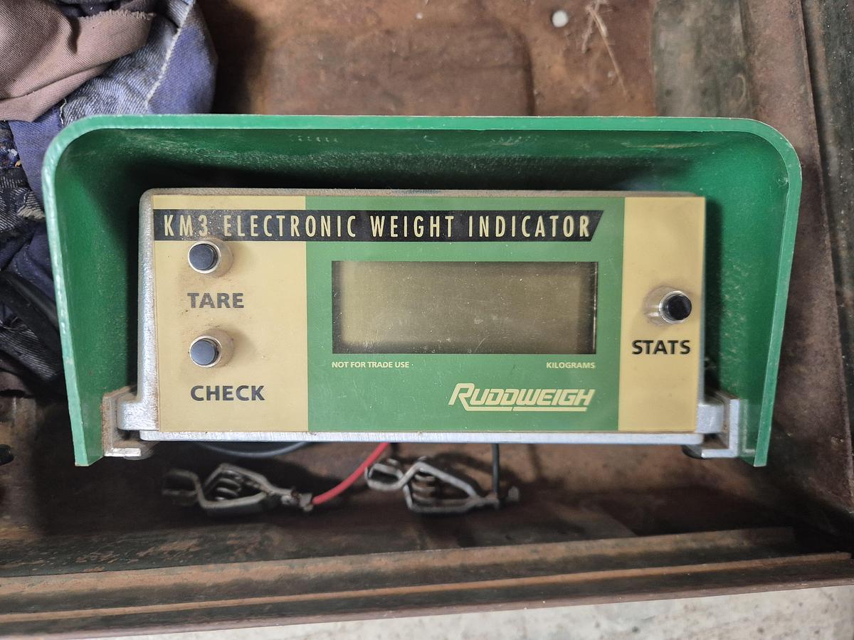 Used Ruddweigh Cattle