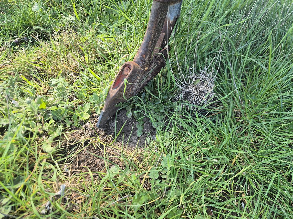 Used John Shearer 24 Run Tyne Drill