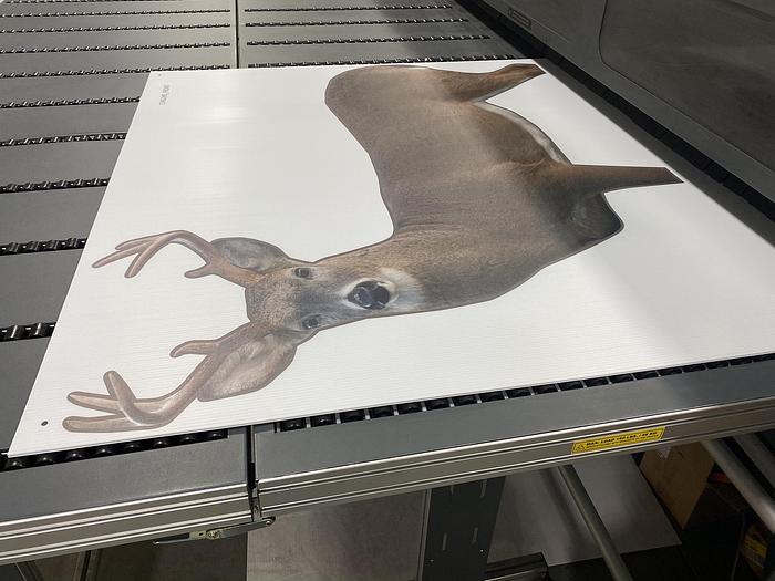 Used 2013 HP Scitex FB 700