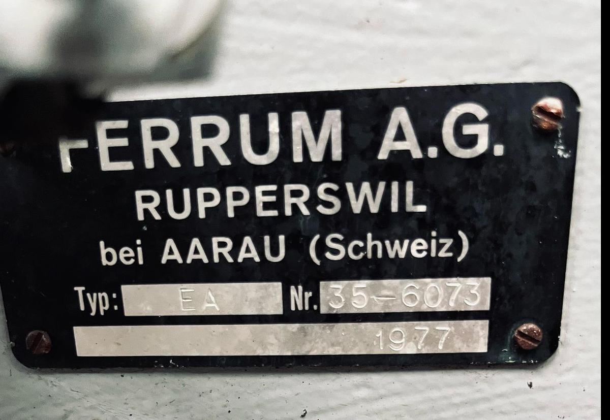Used Ferrum EA Entsteinmaschine für Pflaumen