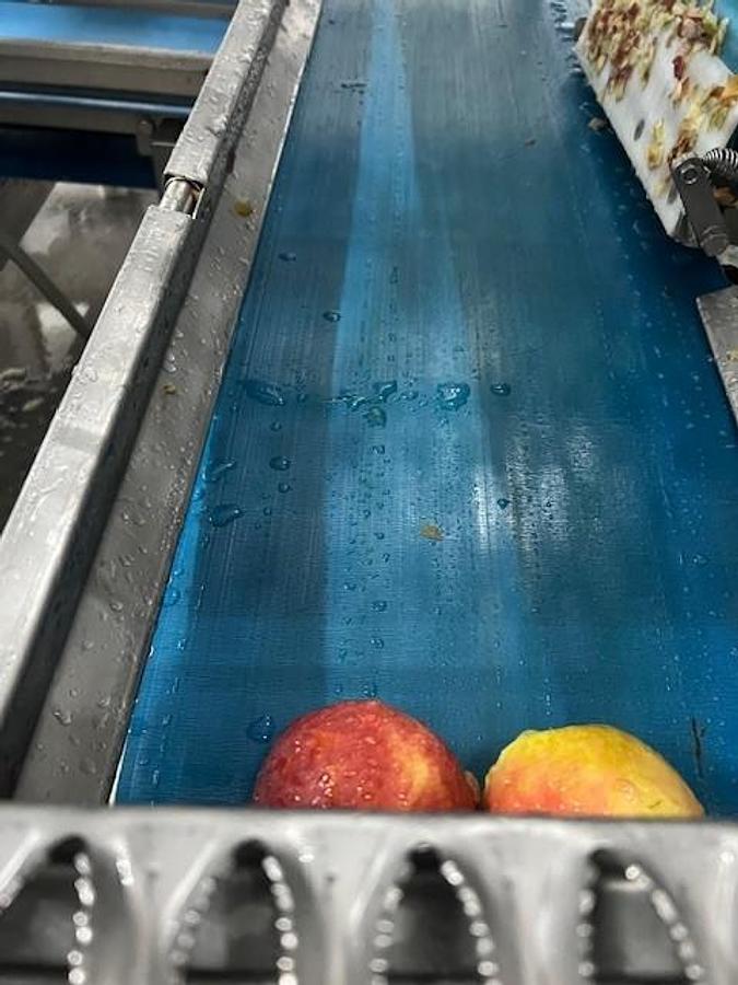 Gebraucht 2012 ABL PDS 100 Apfelschälanlage