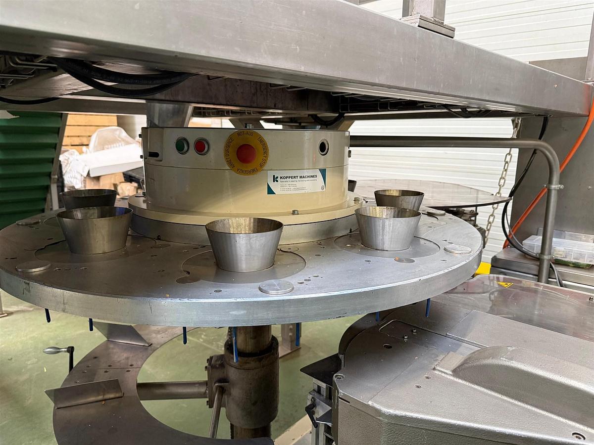 Gebraucht 2016 Koppert Machines / Thürlings Weger / 30 D Abfüll- und Verpackungsanlage für Radieschen