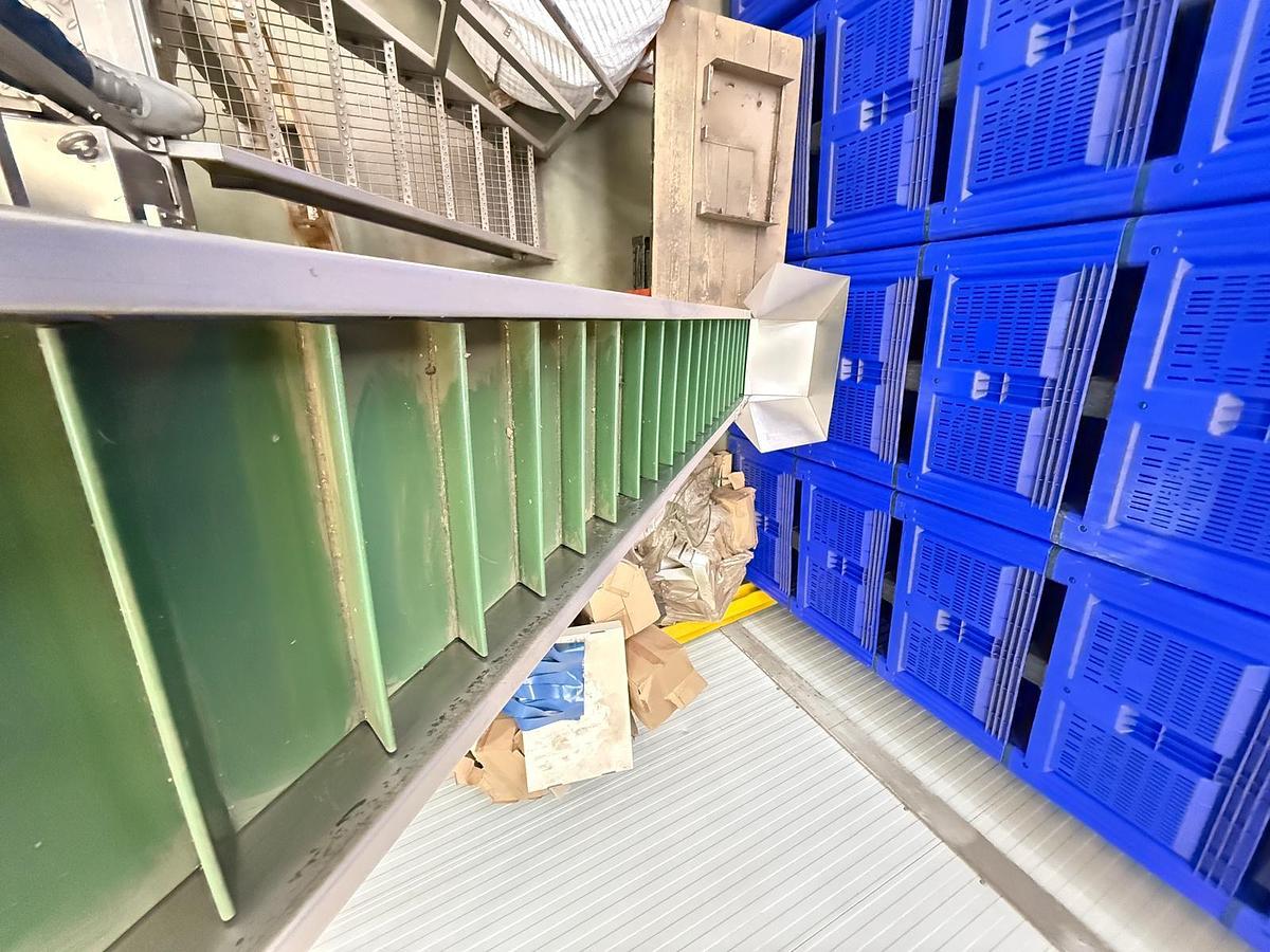 Gebraucht 2016 Koppert Machines / Thürlings Weger / 30 D Abfüll- und Verpackungsanlage für Radieschen