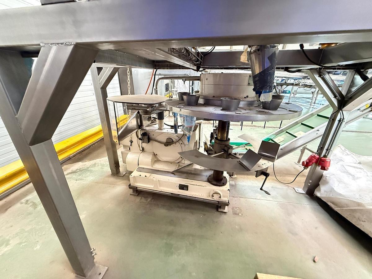 Gebraucht 2016 Koppert Machines / Thürlings Weger / 30 D Abfüll- und Verpackungsanlage für Radieschen