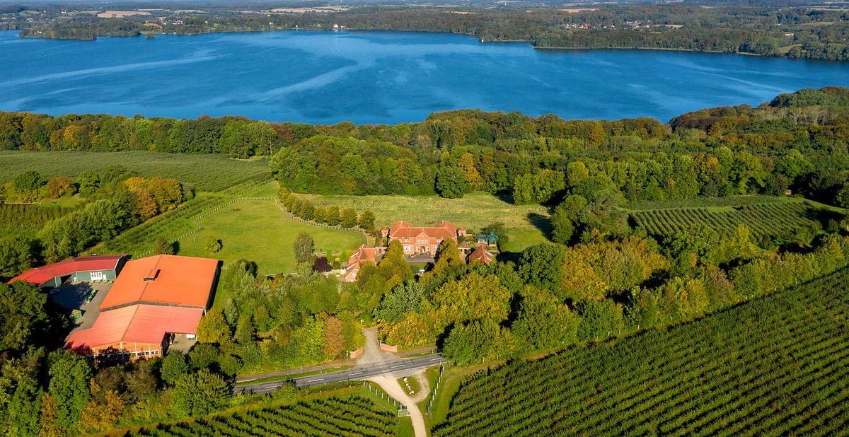 Used Auflösung des Maschinenparks (Neumaschinen) der Eupona Spezialitäten GmbH, Eutin