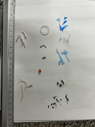 Gebraucht 2007 Fraunhofer Sortieranlage für trockene und zerkleinerte Pflanzen