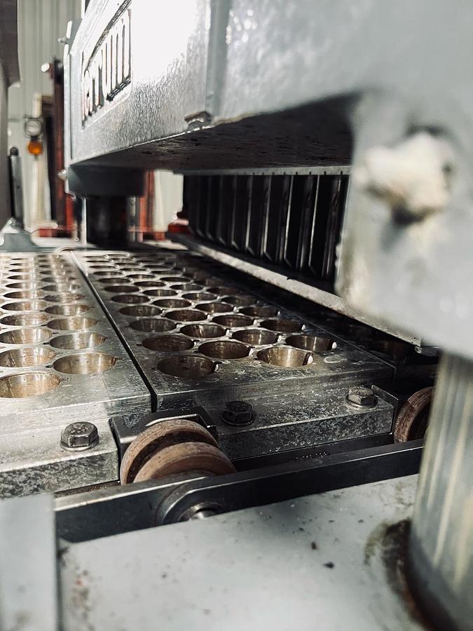 Used Ferrum EA Entsteinmaschine für Pflaumen