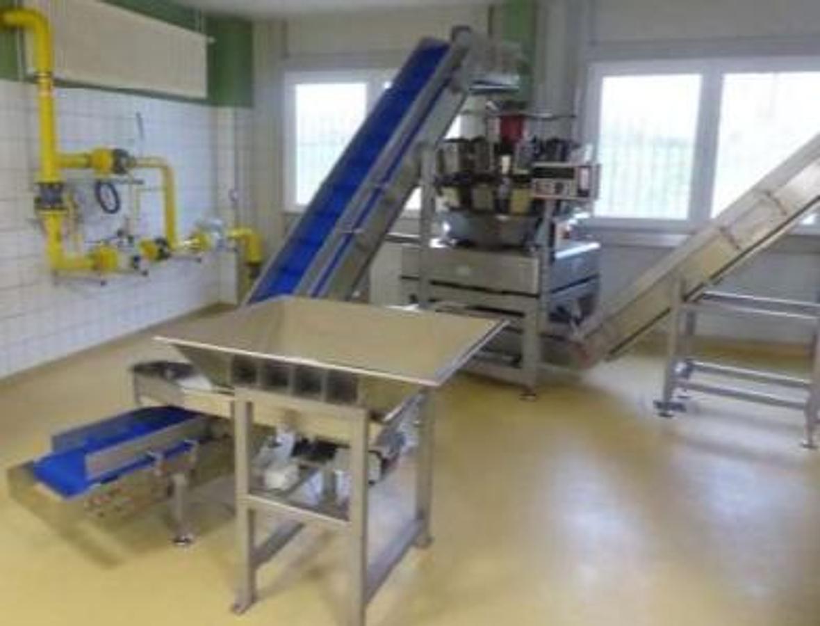 Used 2017 Ishida/Kopas CCW-EM-214, Bj. 2003 und JK 200 F-M-R Servo Abfüll- und Verpackungslinie