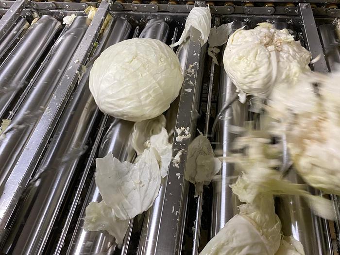 Refurbished 2 Stück Kohlputzmaschinen (Entblätterung)