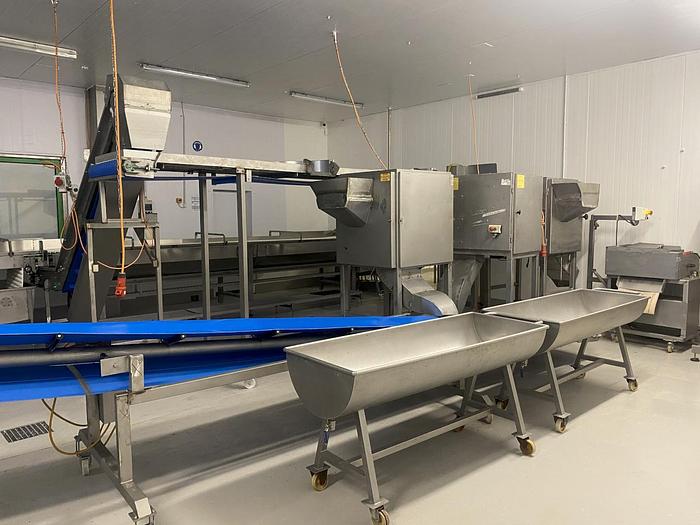 Used Apfelverarbeitungsanlage (Frischware)