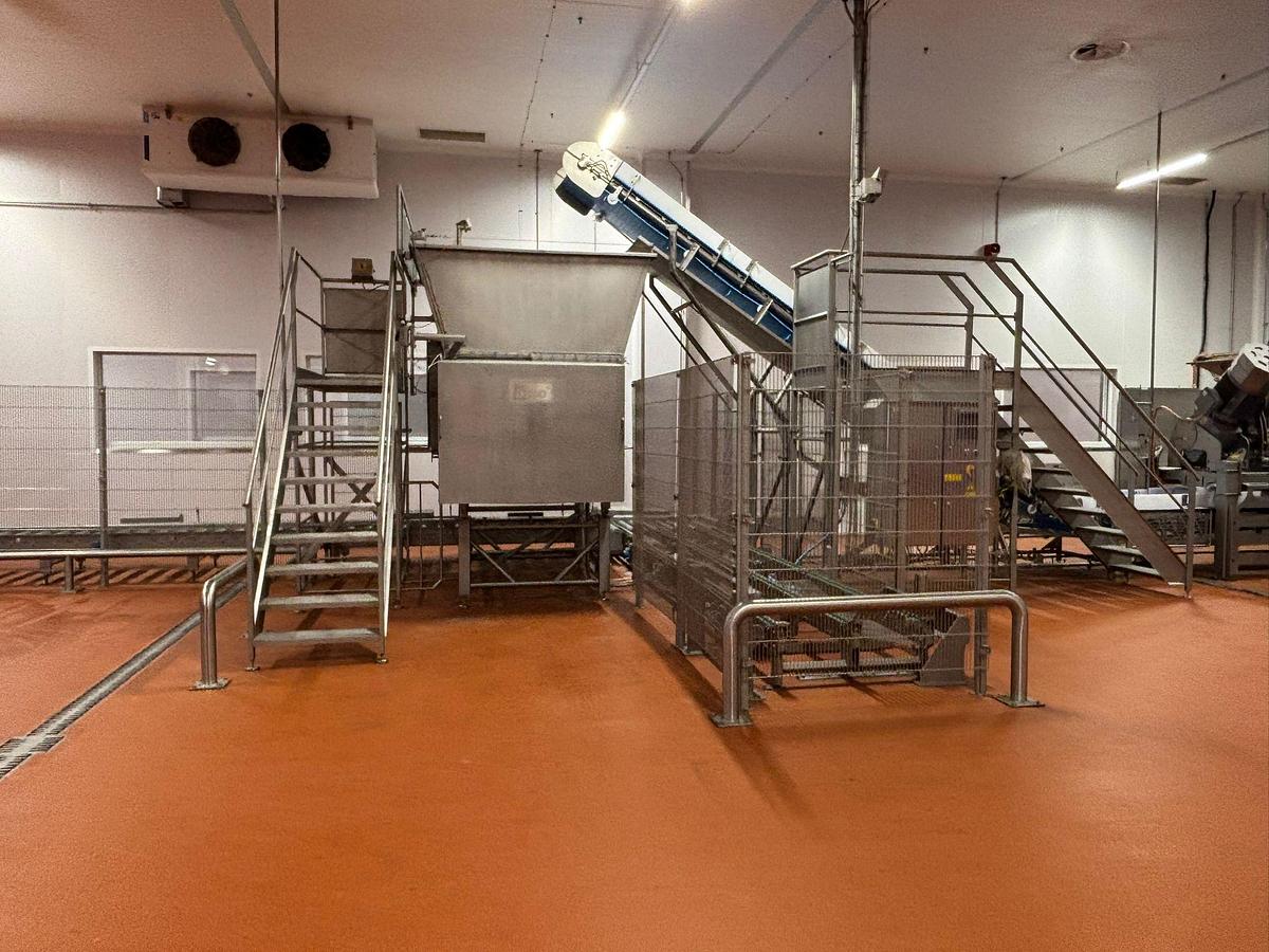 Gebraucht 2023 Alco/Vogelsang Gefrierfleischbrech- & Pufferlinie mit Wiegetechnik und Palbox-Handling