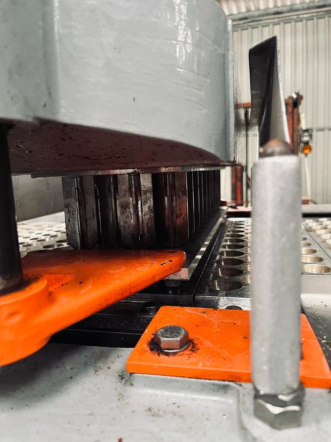 Used Ferrum EA Entsteinmaschine für Pflaumen