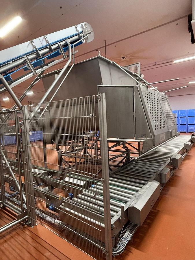 Gebraucht 2023 Alco/Vogelsang Gefrierfleischbrech- & Pufferlinie mit Wiegetechnik und Palbox-Handling
