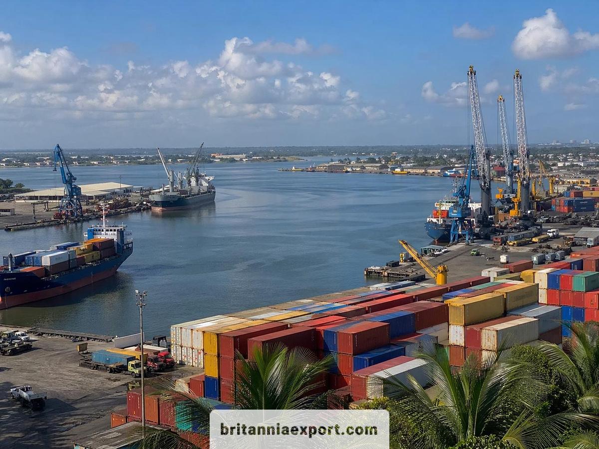 Shipping to Douala - Cameroon from Europe – RoRo & Container Shipping Services