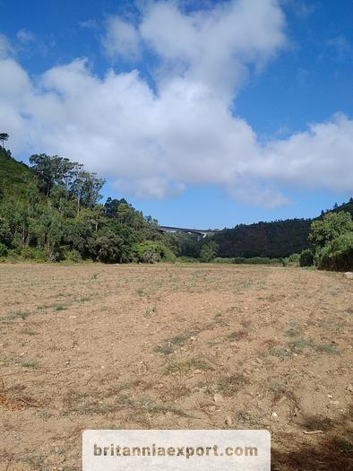 Used 1000 m2  of Agricultural land near Ericeira | Portugal.