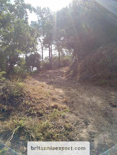 Used 1000 m2  of Agricultural land near Ericeira | Portugal.