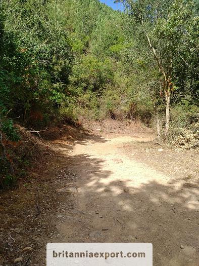 Used 1000 m2  of Agricultural land near Ericeira | Portugal.