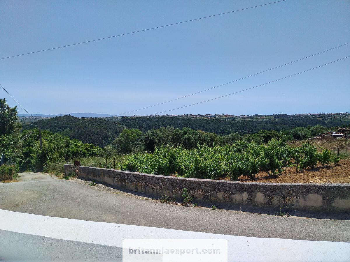Refurbished 3 Bedroom Detached house to rent in Monte Godel | Mafra | Portugal.