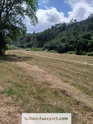 Used 1000 m2  of Agricultural land near Ericeira | Portugal.
