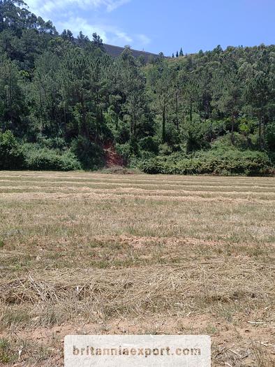 Used 1000 m2  of Agricultural land near Ericeira | Portugal.