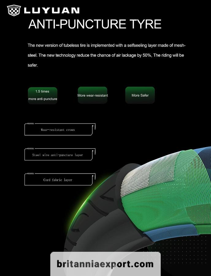 2025 Luyuan MKK Pro Max High Speed Electric Bike
