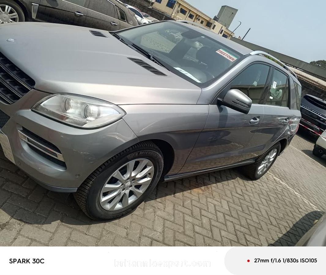 Bought a Truck in Europe We Arrange Shipping to Africa