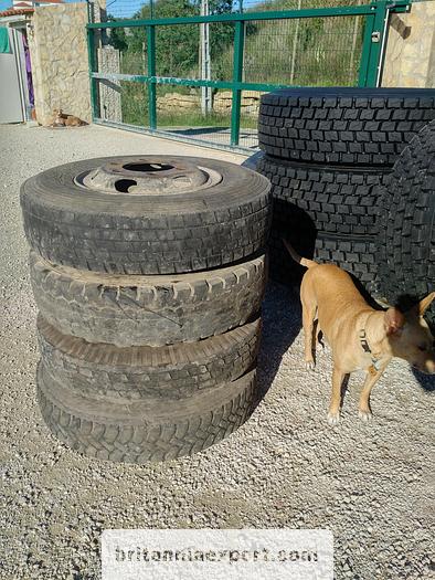 Used Toyota 5 x used 7.50 - 16 LT tyres on 6 studs rims