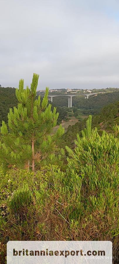 Used 2875 m2 of Agricultural Land Alto Famoes -  Mafra | Portugal
