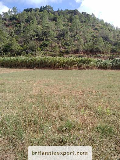 Used 1000 m2  of Agricultural land near Ericeira | Portugal.