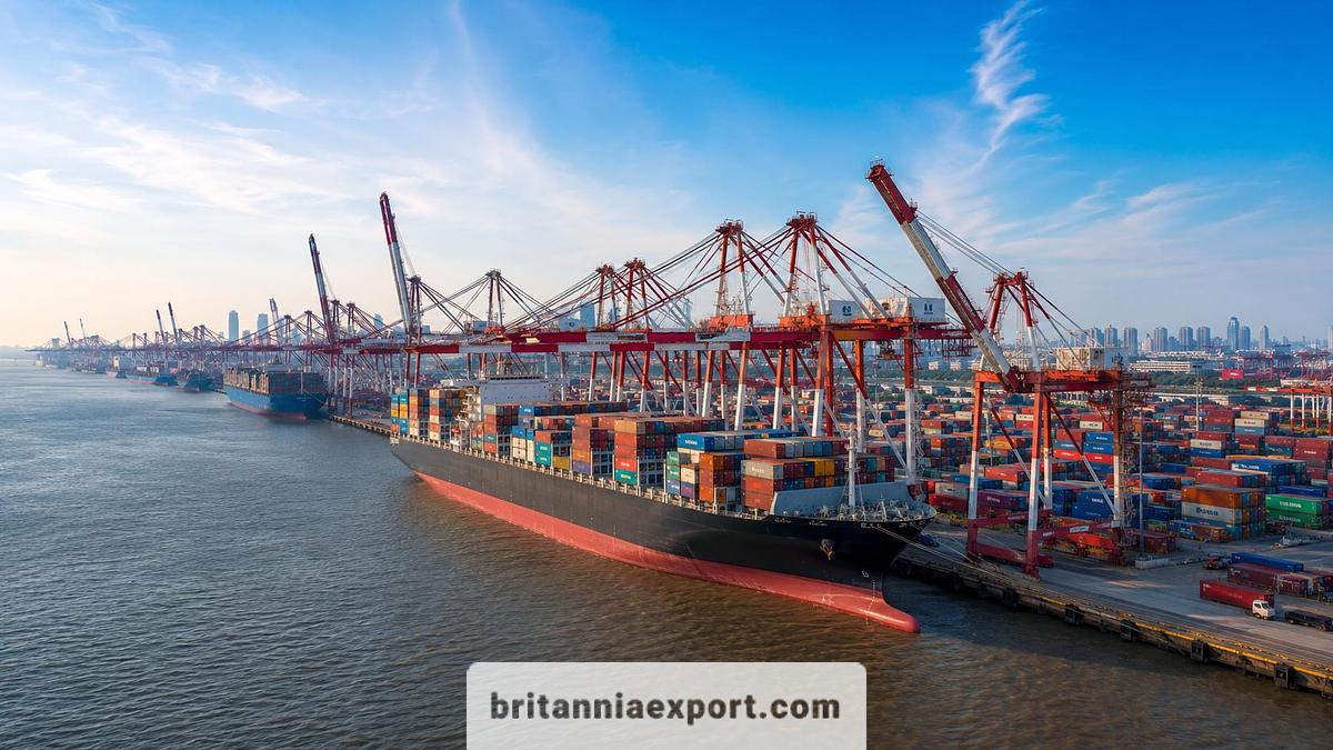 Shipping from Antwerp - Belgium to Shanghai - China RoRo & Container Shipping Services