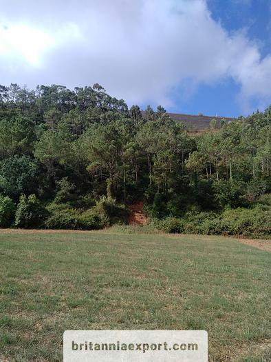 Used 1000 m2  of Agricultural land near Ericeira | Portugal.