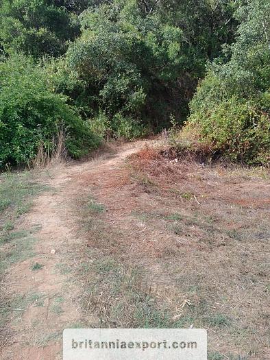 Used 1000 m2  of Agricultural land near Ericeira | Portugal.