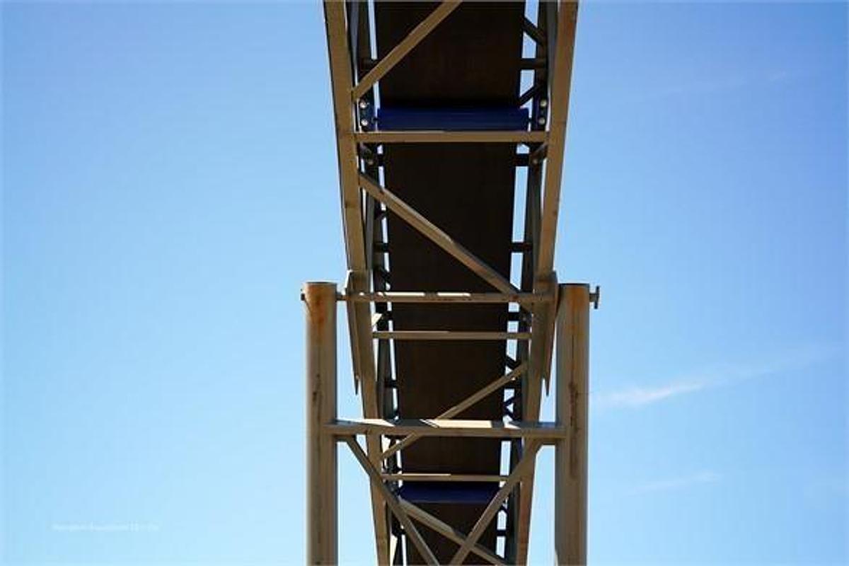 2026 EARTHWORM CONVEYORS 30X100