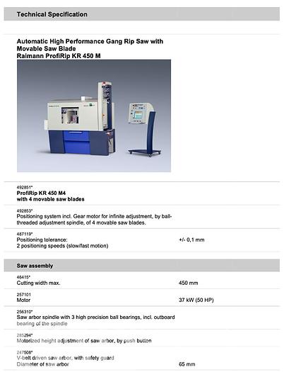 Used 2011 Raimann ProfiRip KR450 4M Rip Saw with ValuRip IV Infeed